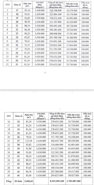 Thông báo đấu giá quyền sử dụng 30 thửa đất ở tại khu Bà Hòa 2, thôn Phong Triều, xã Nam Phong, huyện Phú Xuyên, thành phố Hà Nội