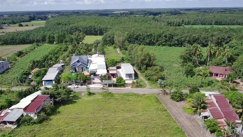 Chuyển Đất Trồng Cây Lâu Năm Lên Thổ Cư: Điều Kiện, Thủ Tục