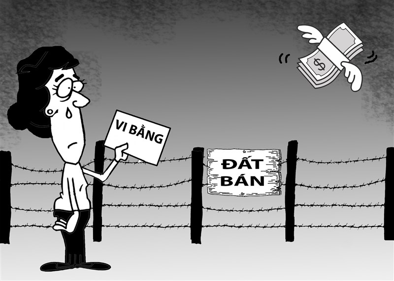 Rủi ro pháp lý khi mua đất vi bằng: Phân tích, giải pháp