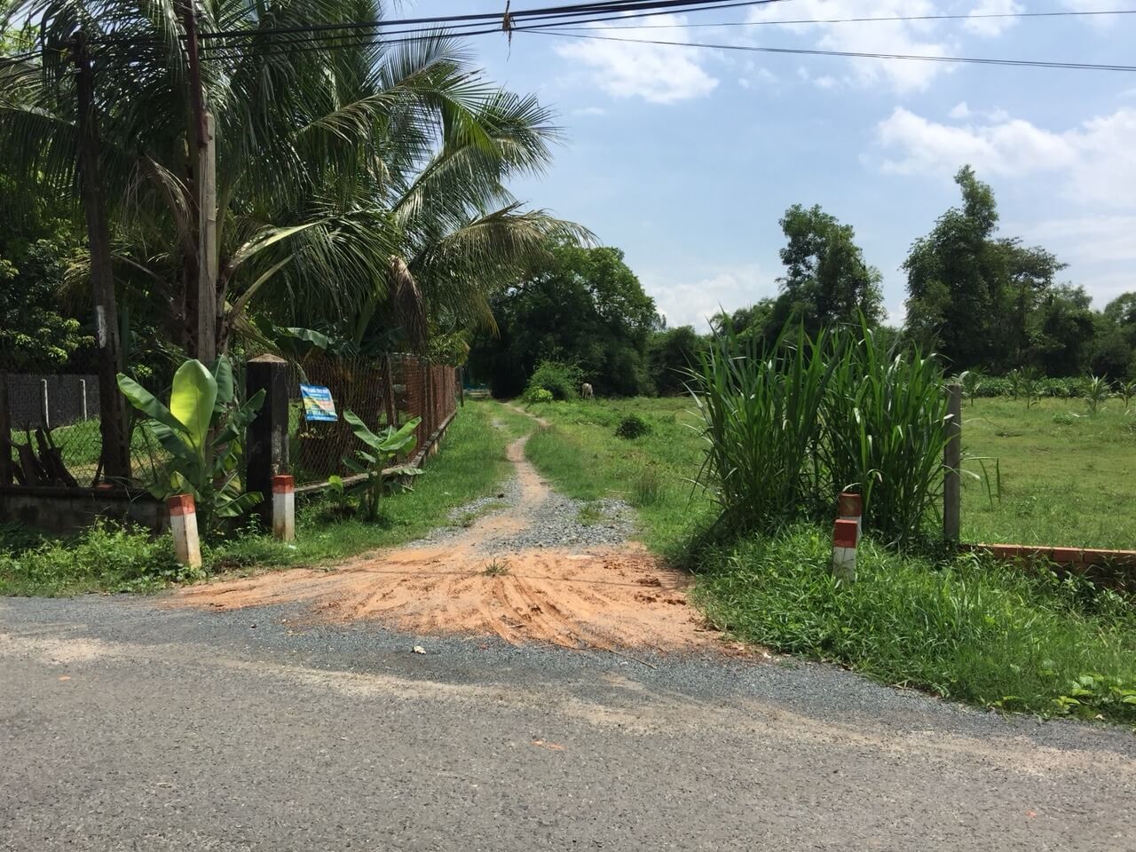 Rủi ro khi mua đất trồng cây lâu năm