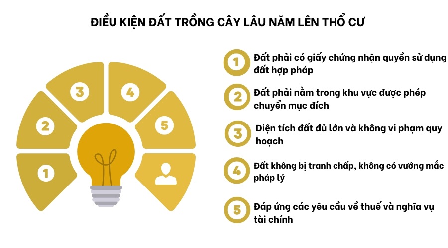 Điều kiện chuyển đất trồng cây lâu năm lên thổ cư