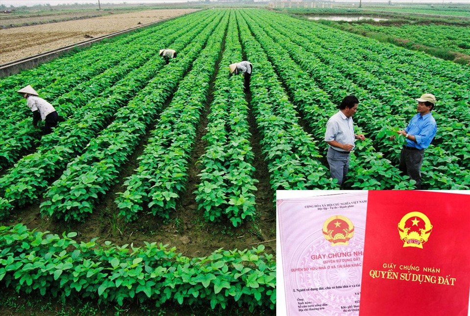 Quyền lợi của người sở hữu đất CLN