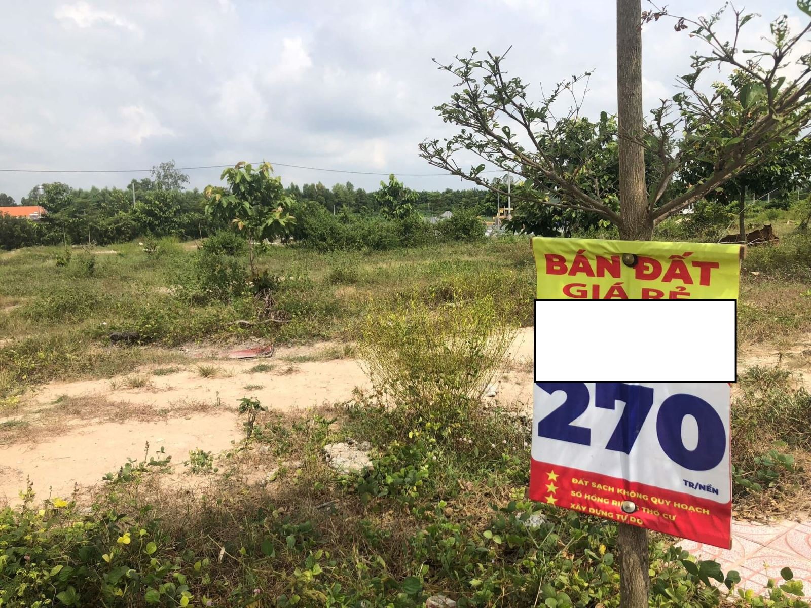 Rủi ro khi mua bán đất CLN