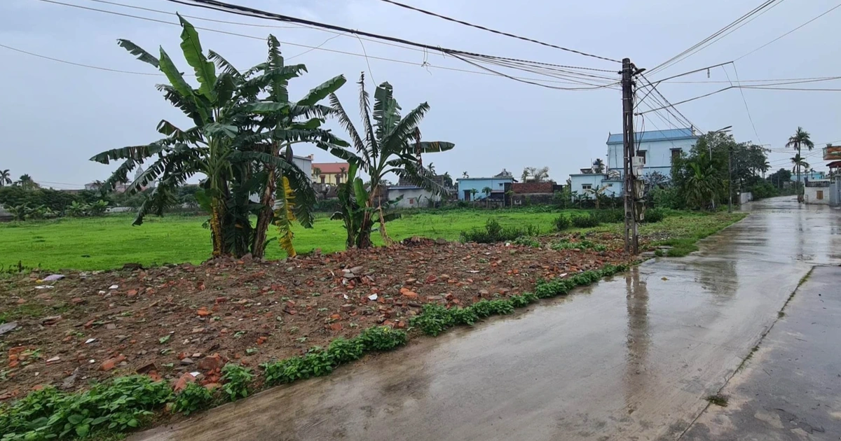 Nên sử dụng đất ONT hiệu quả